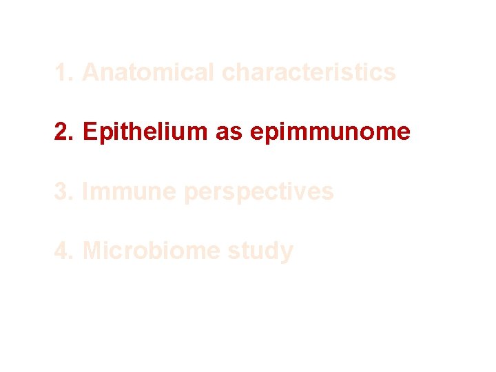 1. Anatomical characteristics 2. Epithelium as epimmunome 3. Immune perspectives 4. Microbiome study 