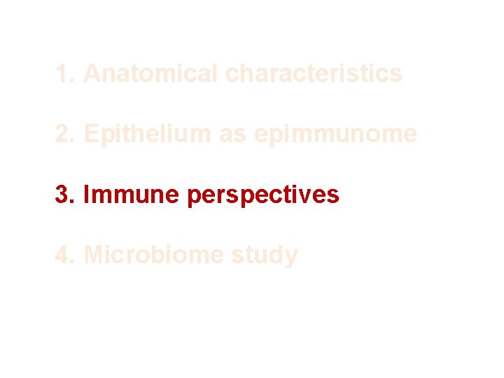 1. Anatomical characteristics 2. Epithelium as epimmunome 3. Immune perspectives 4. Microbiome study 