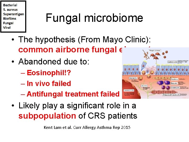 Fungal microbiome • The hypothesis (From Mayo Clinic): common airborne fungal elements • Abandoned