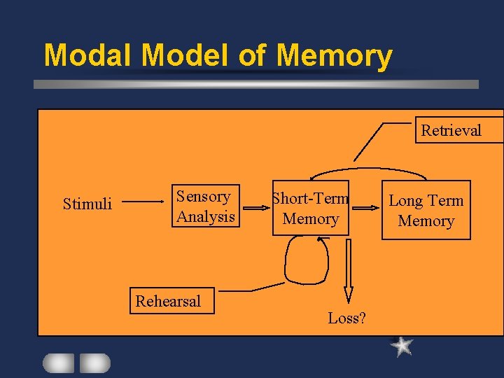 Modal Model of Memory Retrieval Stimuli Sensory Analysis Rehearsal Short-Term Memory Loss? Long Term