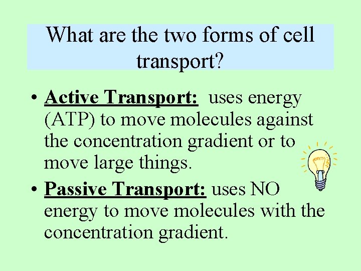 What are the two forms of cell transport? • Active Transport: uses energy (ATP)