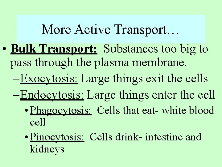 More Active Transport… • Bulk Transport: Substances too big to pass through the plasma