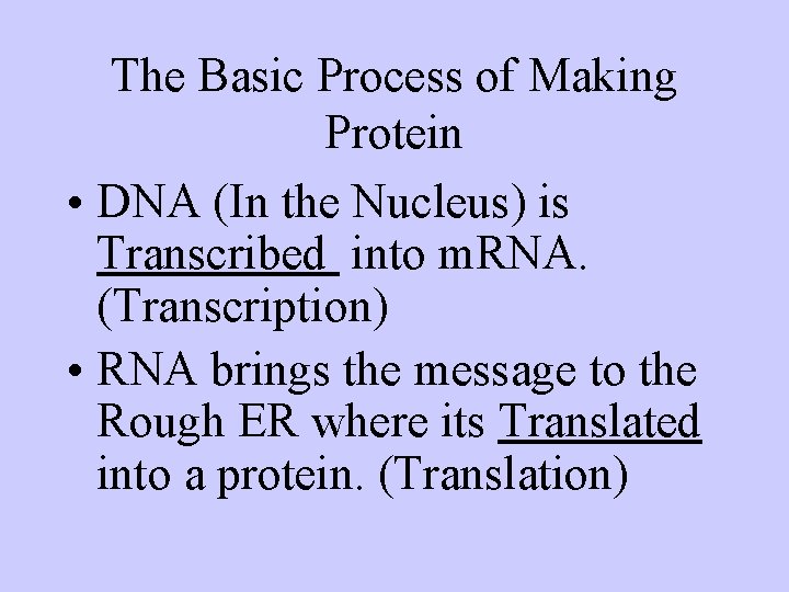 The Basic Process of Making Protein • DNA (In the Nucleus) is Transcribed into