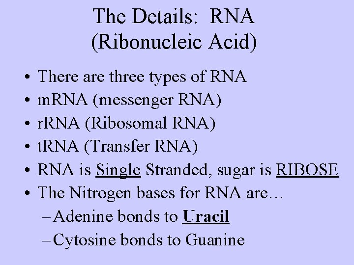 The Details: RNA (Ribonucleic Acid) • • • There are three types of RNA