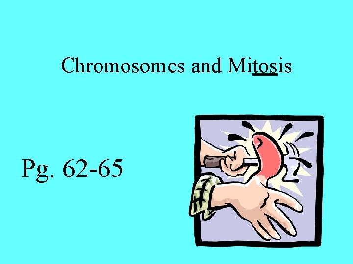 Chromosomes and Mitosis Pg. 62 -65 