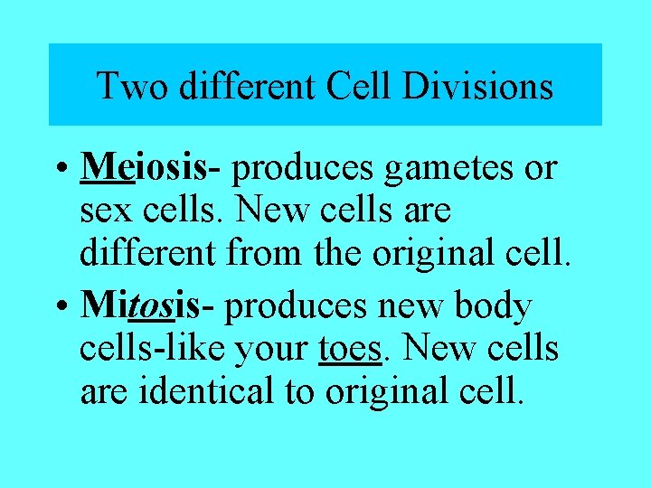 Two different Cell Divisions • Meiosis- produces gametes or sex cells. New cells are