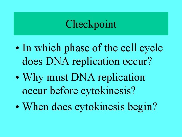 Checkpoint • In which phase of the cell cycle does DNA replication occur? •