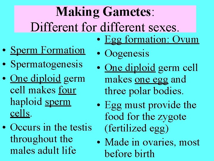 Making Gametes: Different for different sexes. • • • Egg formation: Ovum Sperm Formation