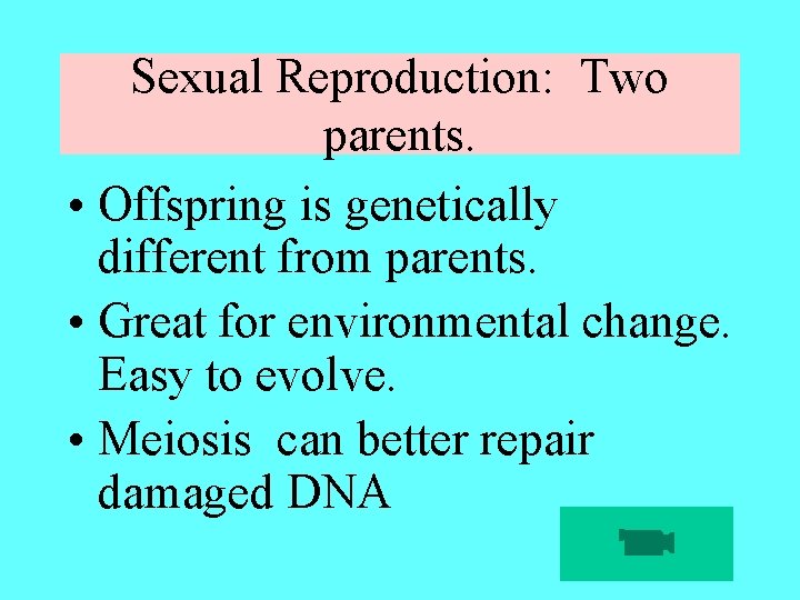 Sexual Reproduction: Two parents. • Offspring is genetically different from parents. • Great for