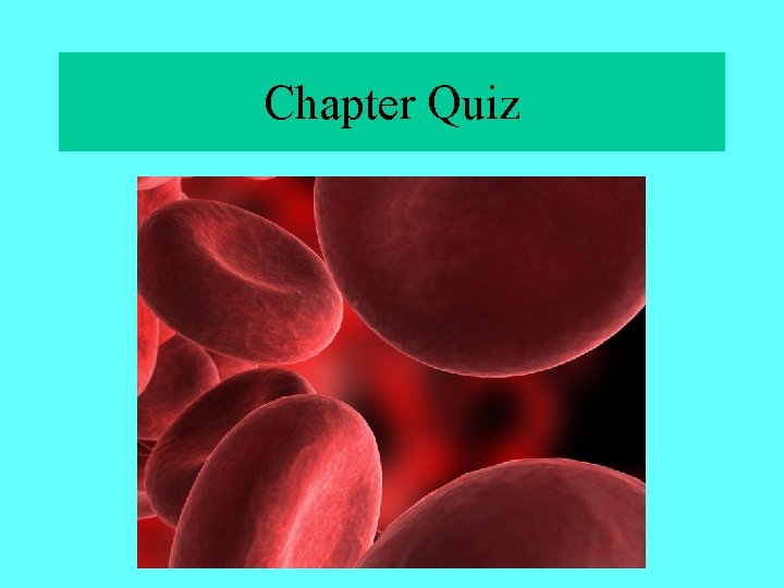 Chapter Quiz 