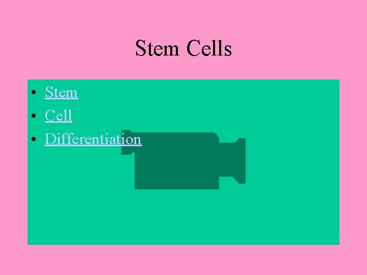 Stem Cells • Stem • Cell • Differentiation 