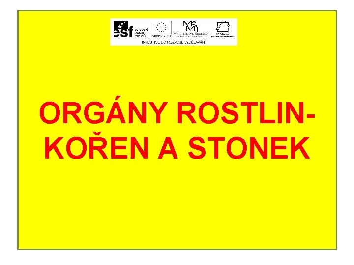 ORGÁNY ROSTLINKOŘEN A STONEK 