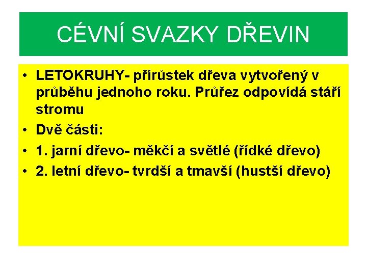 CÉVNÍ SVAZKY DŘEVIN • LETOKRUHY- přírůstek dřeva vytvořený v průběhu jednoho roku. Průřez odpovídá