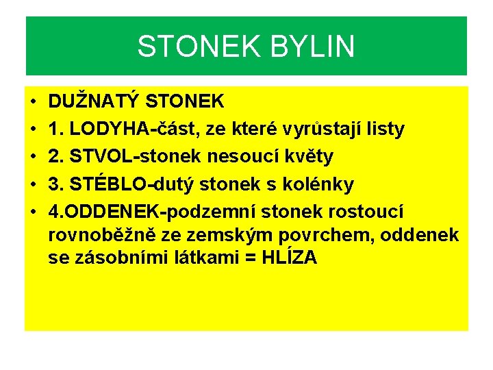 STONEK BYLIN • • • DUŽNATÝ STONEK 1. LODYHA-část, ze které vyrůstají listy 2.