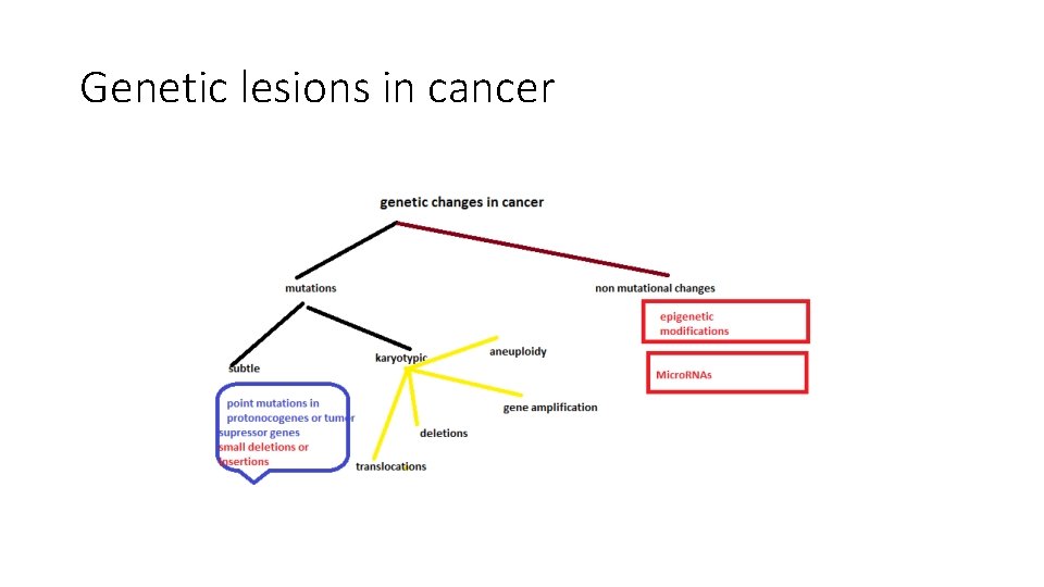 Genetic lesions in cancer 