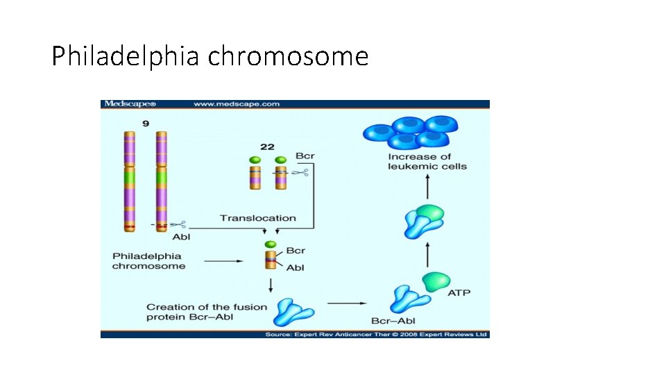 Philadelphia chromosome 