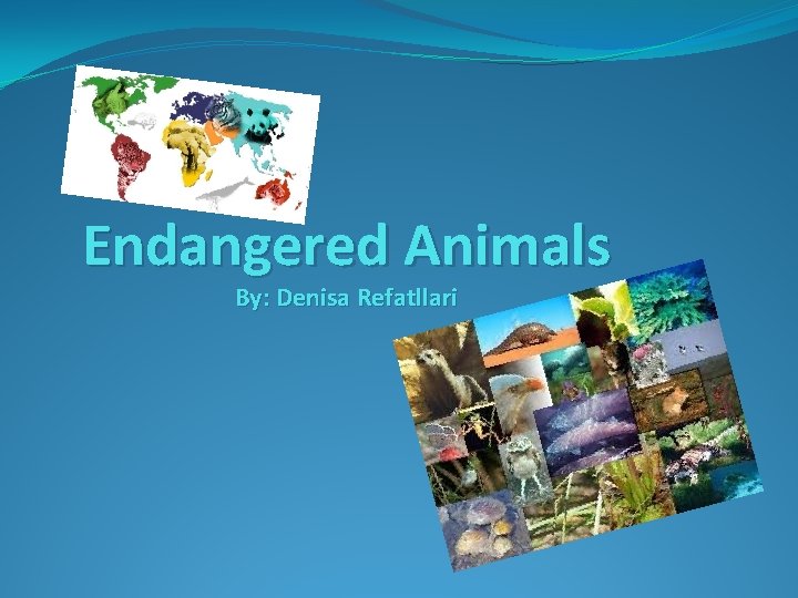 Endangered Animals By: Denisa Refatllari 