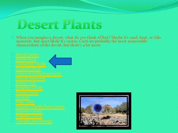 Desert Plants � When you imagine a desert, what do you think of first?