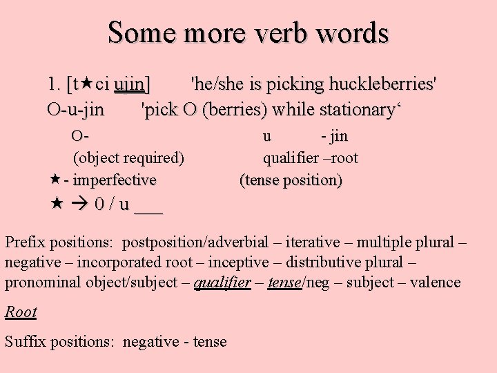 Some more verb words 1. [t ci ujin] 'he/she is picking huckleberries' O-u-jin 'pick