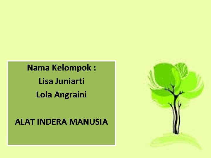 Nama Kelompok : Lisa Juniarti Lola Angraini ALAT INDERA MANUSIA 