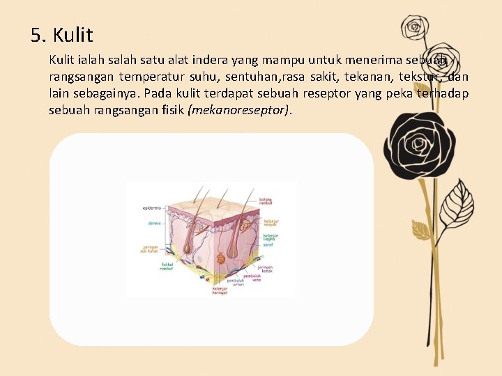 5. Kulit ialah satu alat indera yang mampu untuk menerima sebuah rangsangan temperatur suhu,