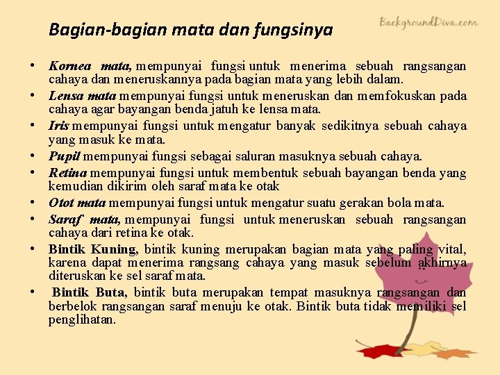 Bagian-bagian mata dan fungsinya • Kornea mata, mempunyai fungsi untuk menerima sebuah rangsangan cahaya