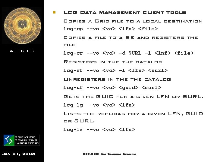 n LCG Data Management Client Tools Copies a Grid file to a local destination