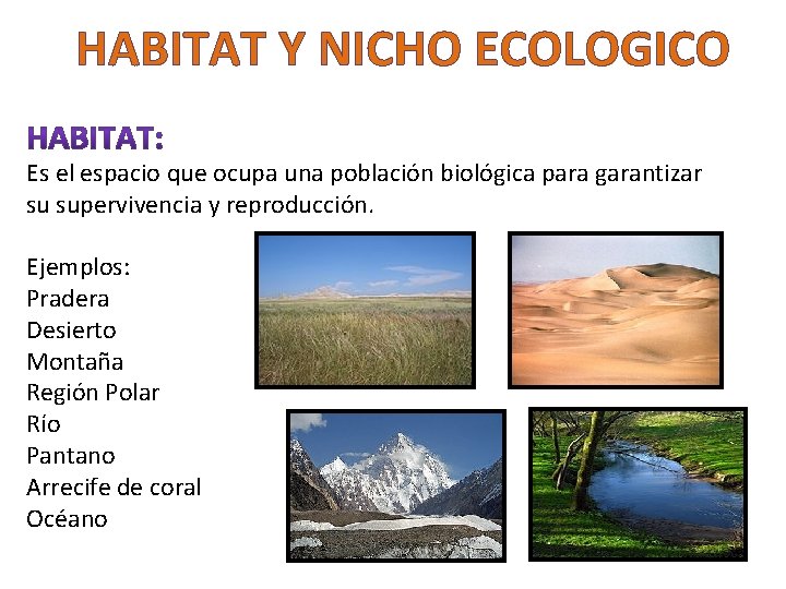 HABITAT Y NICHO ECOLOGICO Es el espacio que ocupa una población biológica para garantizar