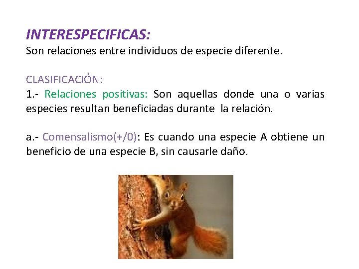 INTERESPECIFICAS: Son relaciones entre individuos de especie diferente. CLASIFICACIÓN: 1. - Relaciones positivas: Son