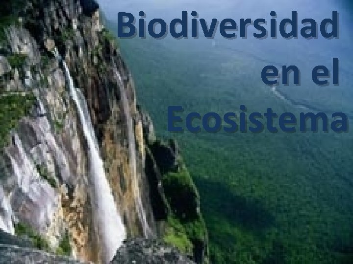 Biodiversidad en el Ecosistema 