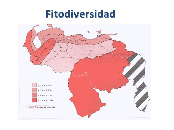 Fitodiversidad 