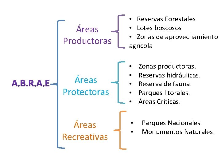 Áreas Productoras • Reservas Forestales • Lotes boscosos • Zonas de aprovechamiento agrícola Áreas