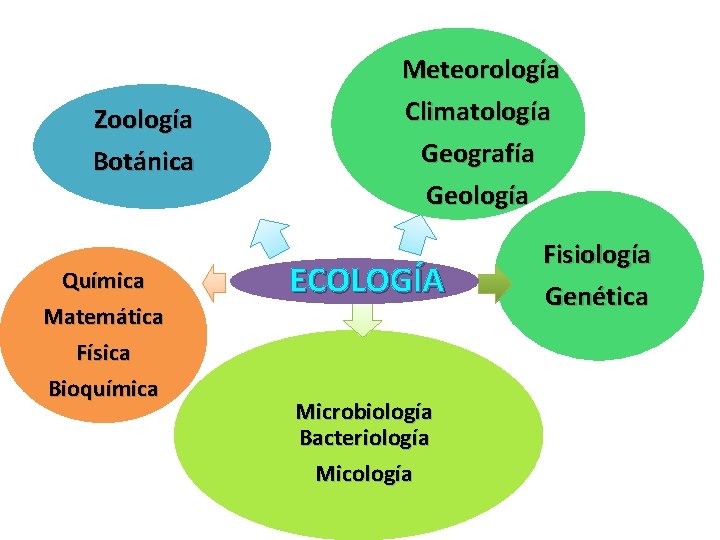 Zoología Botánica Química Matemática Física Bioquímica Meteorología Climatología Geografía Geología ECOLOGÍA Microbiología Bacteriología Micología