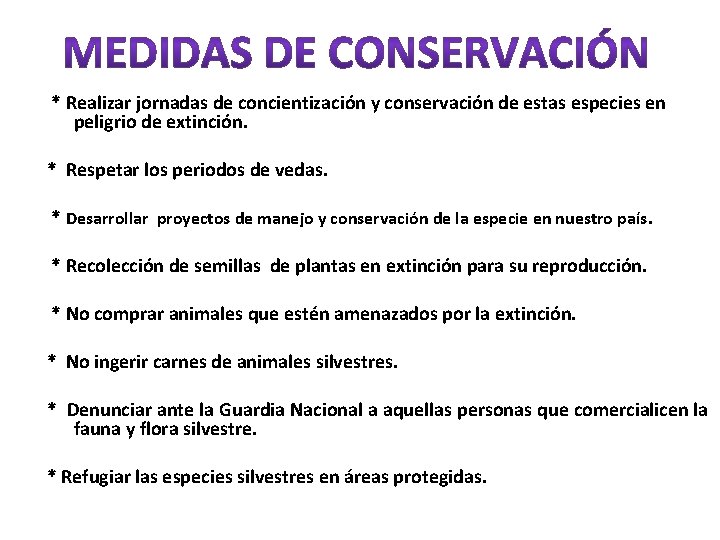 * Realizar jornadas de concientización y conservación de estas especies en peligrio de extinción.