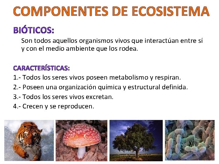 COMPONENTES DE ECOSISTEMA Son todos aquellos organismos vivos que interactúan entre sí y con