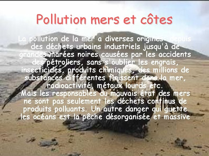 Pollution mers et côtes La pollution de la mer a diverses origines: depuis des