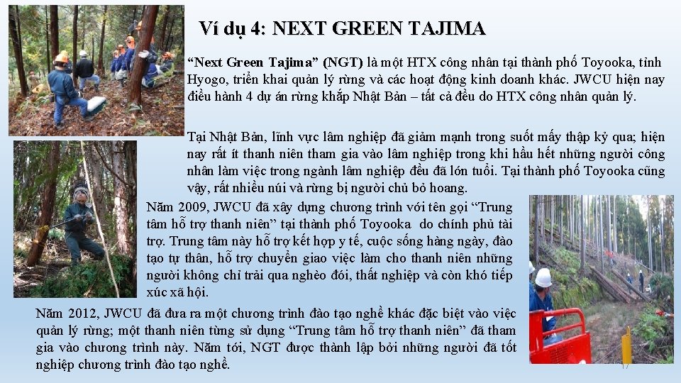 Ví dụ 4: NEXT GREEN TAJIMA “Next Green Tajima” (NGT) là một HTX công