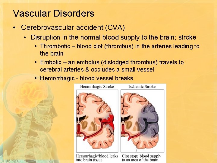 Vascular Disorders • Cerebrovascular accident (CVA) • Disruption in the normal blood supply to