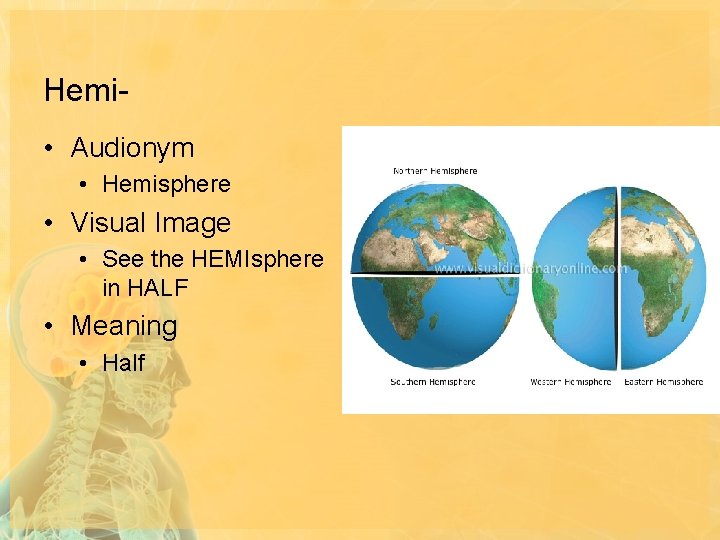 Hemi • Audionym • Hemisphere • Visual Image • See the HEMIsphere in HALF