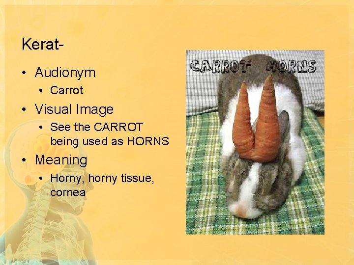 Kerat • Audionym • Carrot • Visual Image • See the CARROT being used