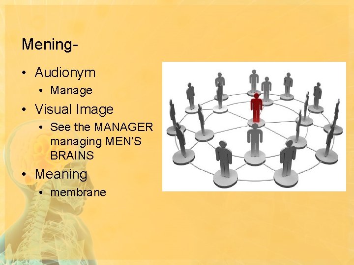 Mening • Audionym • Manage • Visual Image • See the MANAGER managing MEN’S