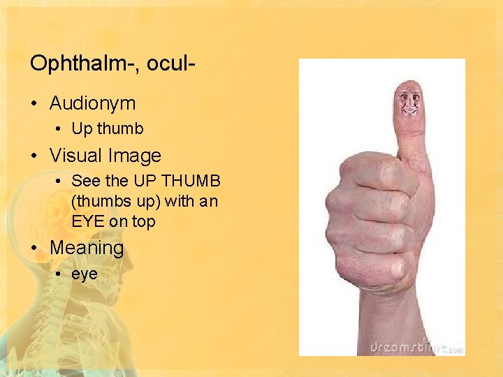 Ophthalm-, ocul • Audionym • Up thumb • Visual Image • See the UP