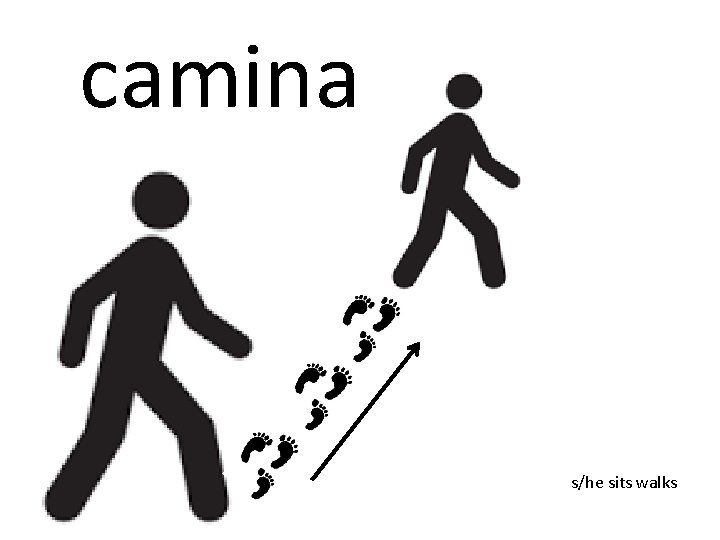 camina s/he sits walks 