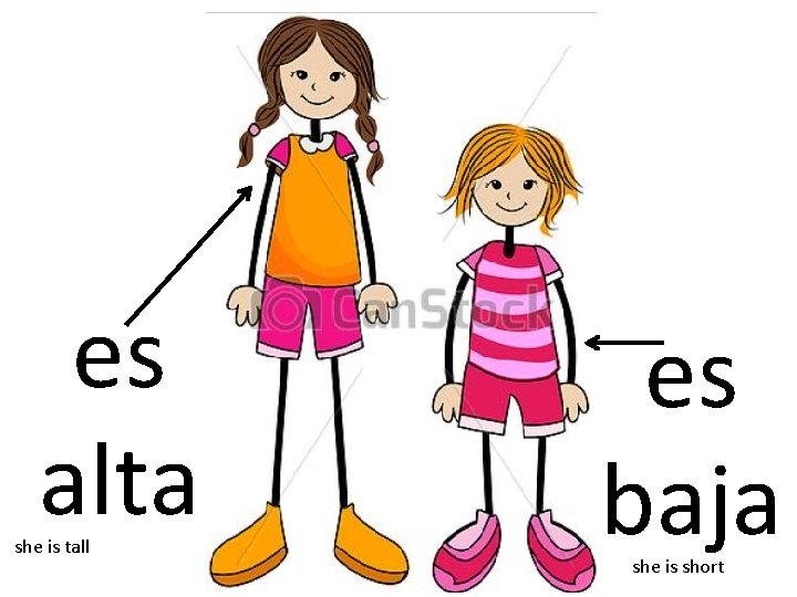 es alta she is tall es baja she is short 