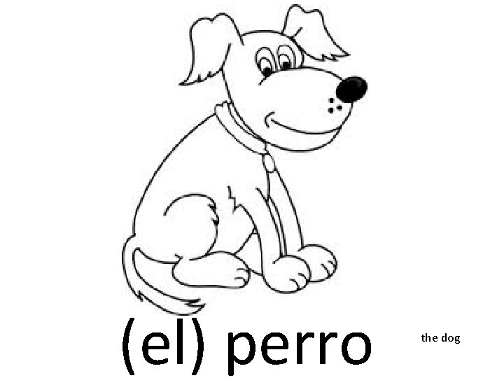 (el) perro the dog 