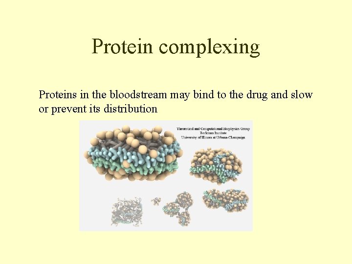 Protein complexing Proteins in the bloodstream may bind to the drug and slow or