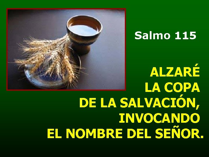 Salmo 115 ALZARÉ LA COPA DE LA SALVACIÓN, INVOCANDO EL NOMBRE DEL SEÑOR. 