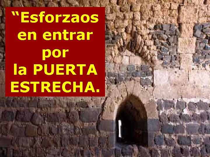 “Esforzaos en entrar por la PUERTA ESTRECHA. 