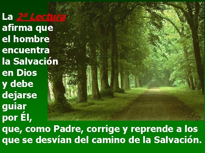 La 2ª Lectura afirma que el hombre encuentra la Salvación en Dios y debe