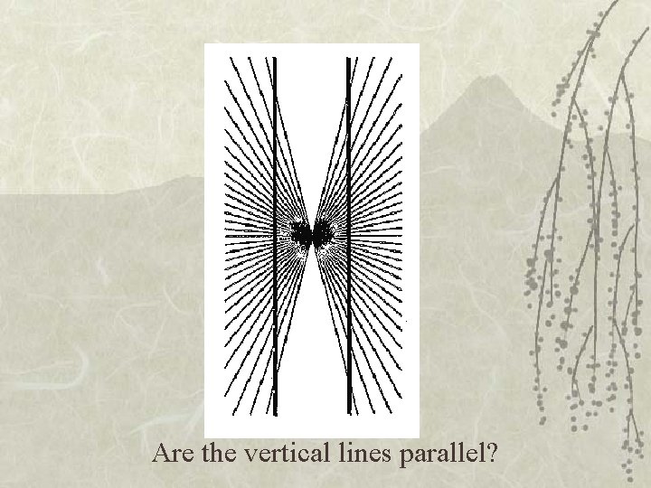 Are the vertical lines parallel? 